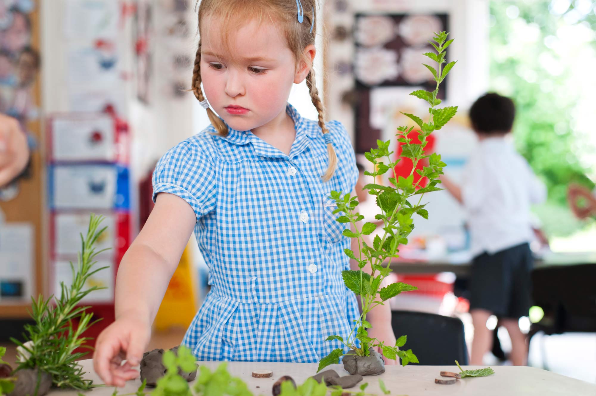 School pupil learning with plants