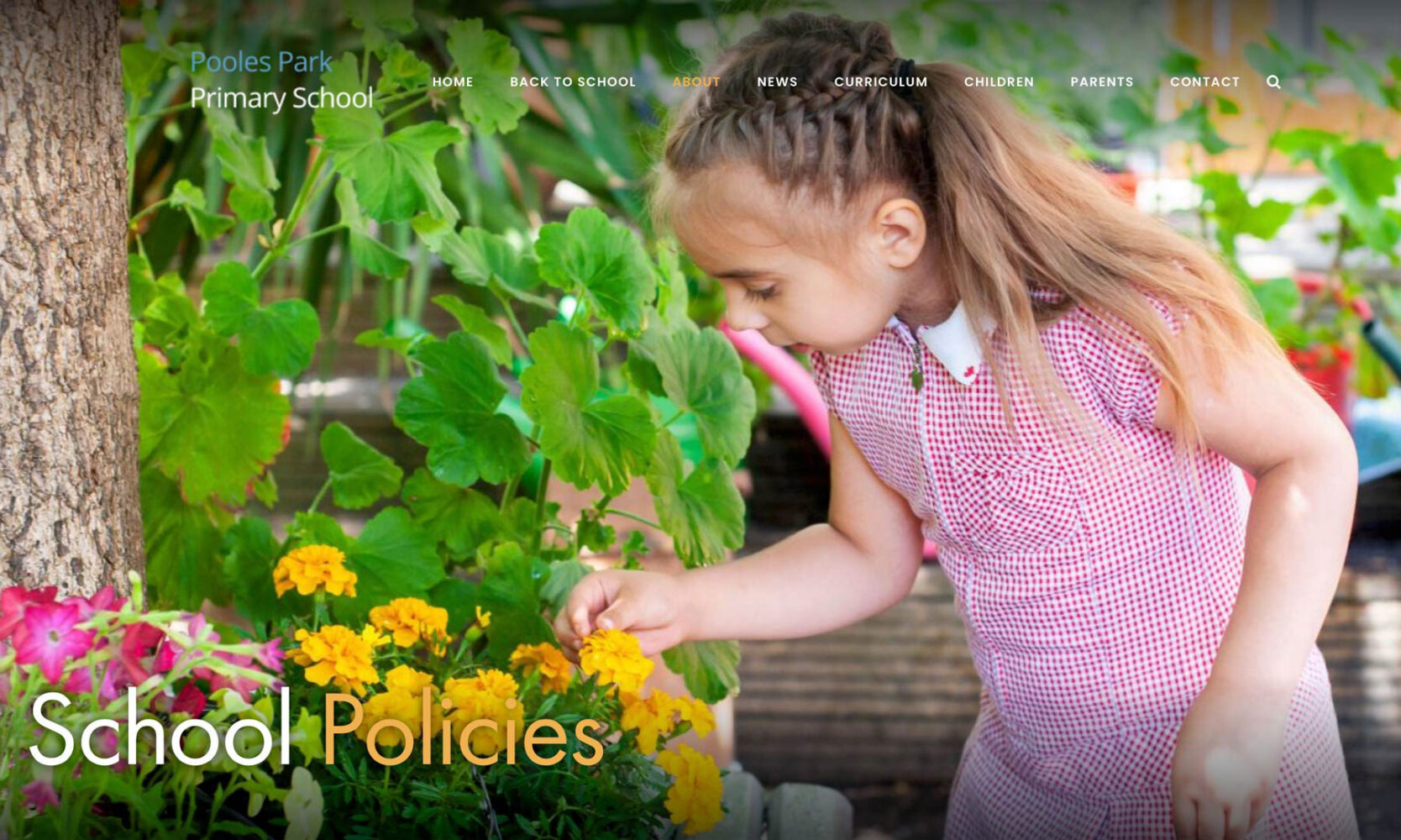 Screenshot of school website photography by James Robertshaw